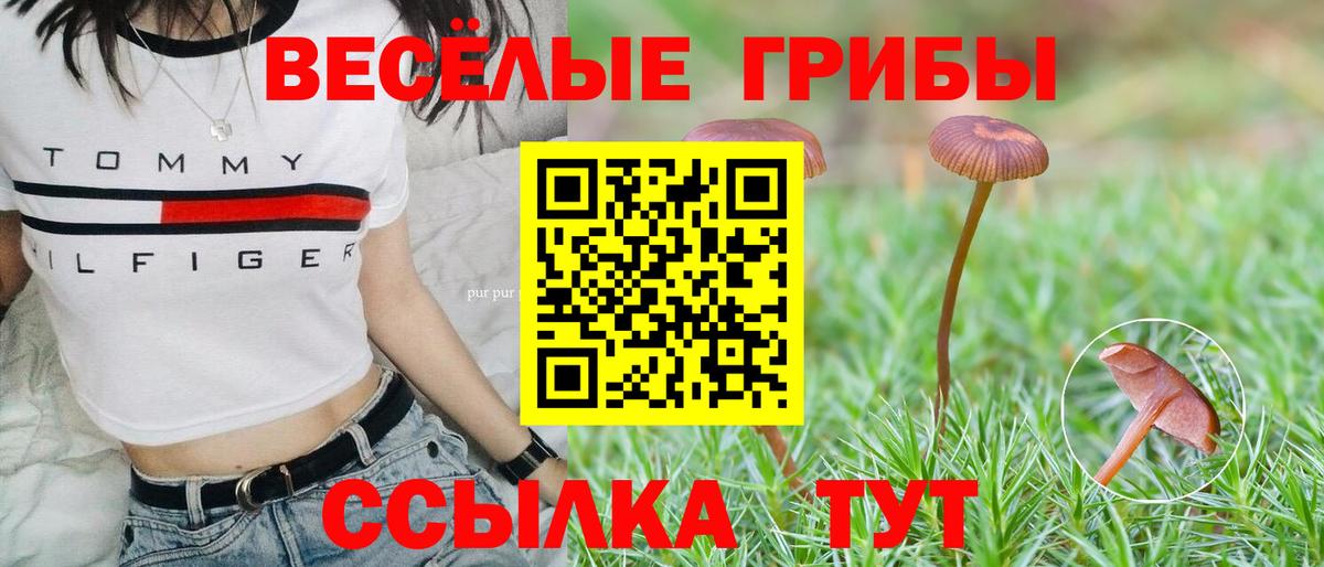 Галлюциногенные грибы ЛСД Южно-Сахалинск